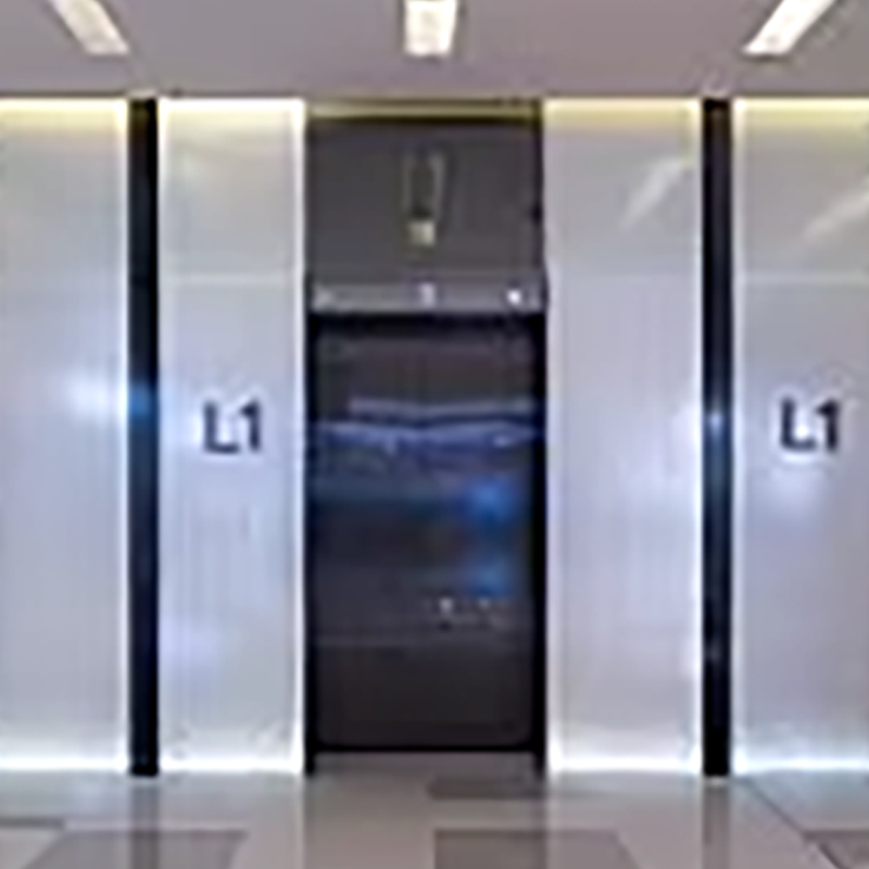 VTEP106 Elevadores Modern Passenger Elevator na may Mga Feature na Nakakatipid sa Enerhiya