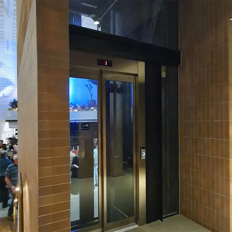 VTEP108 Elevadores Mabilis at Smooth Passenger Elevator para sa Mga Commercial Properties Mabilis na Serbisyo