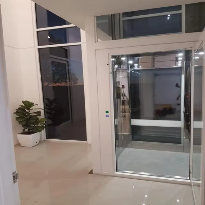 VTEV109 Ascensores Elevadores Naka-istilong Glass Villa Elevator para sa Pribadong Duplex Home