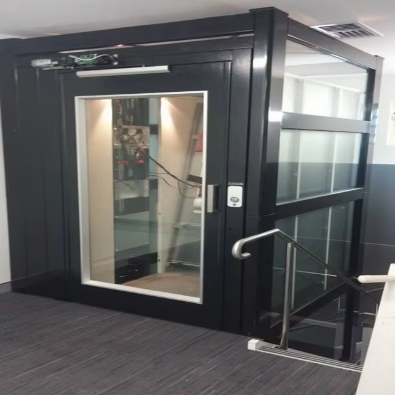 VTEV109 Ascensores Elevadores Naka-istilong Glass Villa Elevator para sa Pribadong Duplex Home