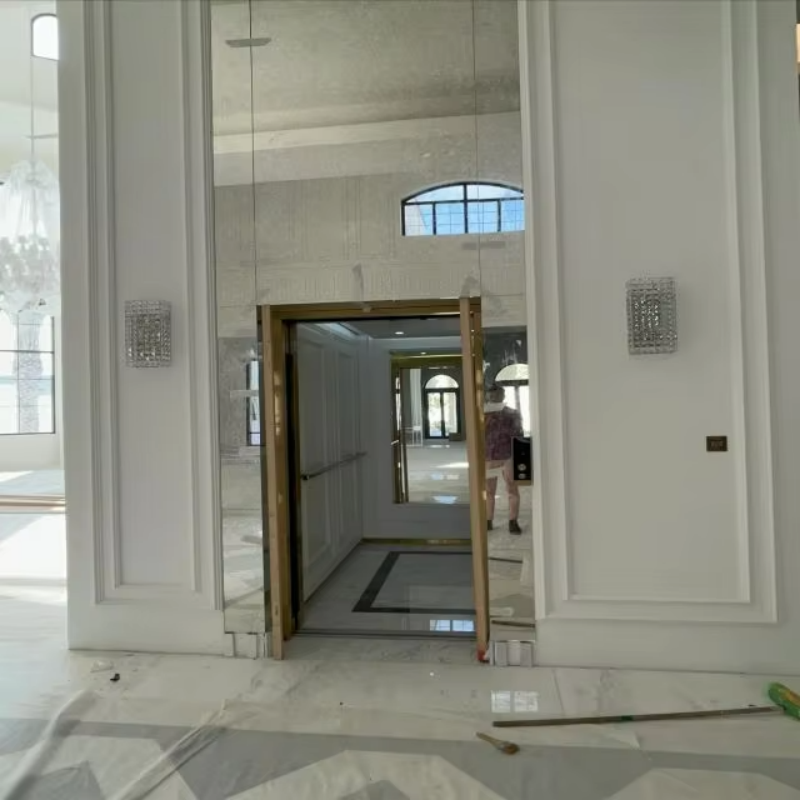 VTEP112 Elevadores High-Speed ​​Passenger Elevator para sa Mabilis na Vertical Movement