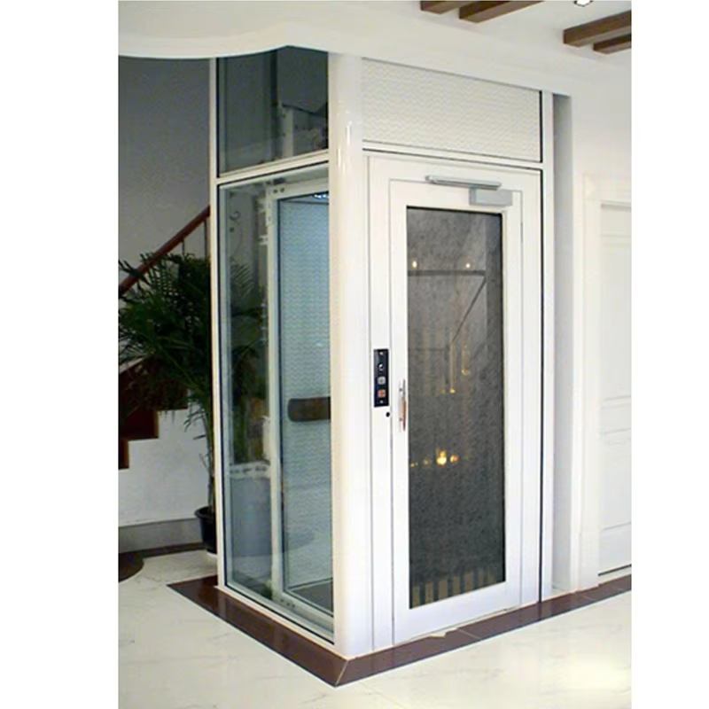VTEV102 Ascensores Elevadores Energy Saving Villa Elevator para sa Residential Dekorasyon