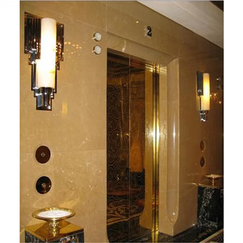 VTEV102 Ascensores Elevadores Energy Saving Villa Elevator para sa Residential Dekorasyon