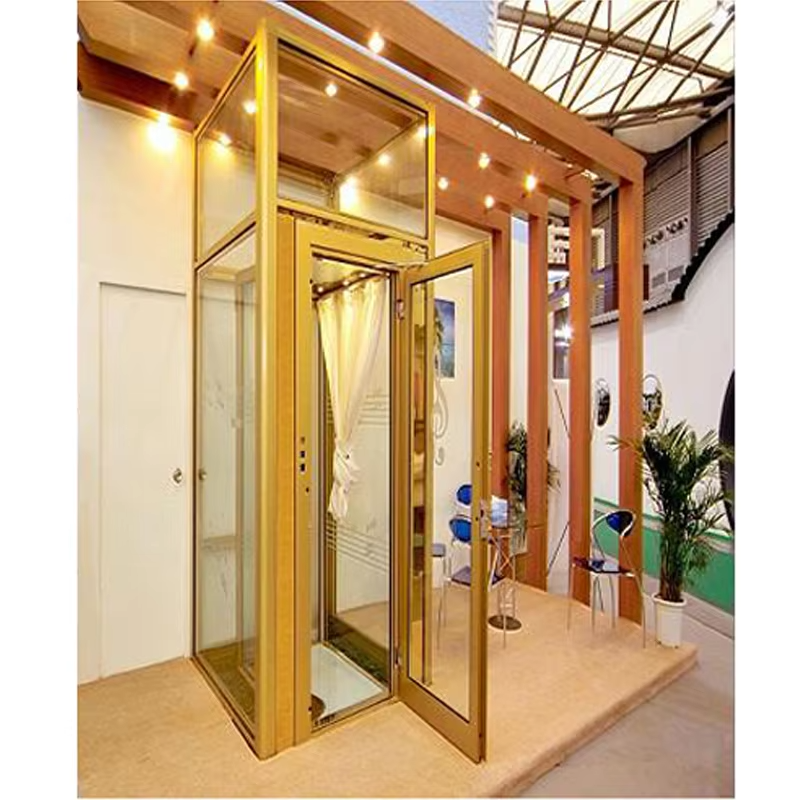VTEV101 Ascensores Elevadores Beautiful Design Villa Lift para sa Modern Dekorasyon na Estilo
