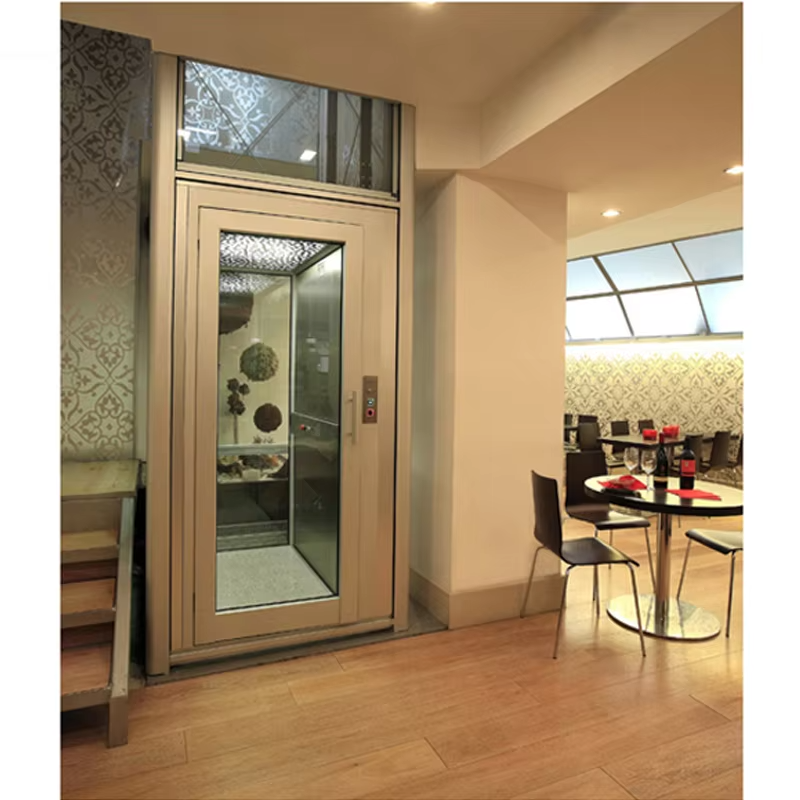 VTEV101 Ascensores Elevadores Beautiful Design Villa Lift para sa Modern Dekorasyon na Estilo
