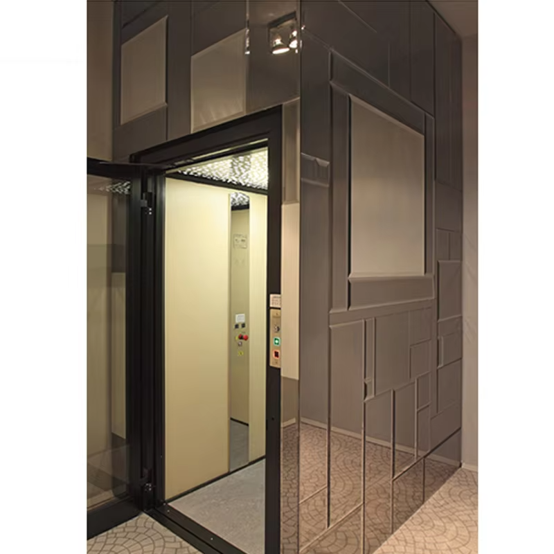 VTEV103 Ascensores Elevadores Smart Control Villa Lift para sa Komportableng Pagsasakay sa Bahay