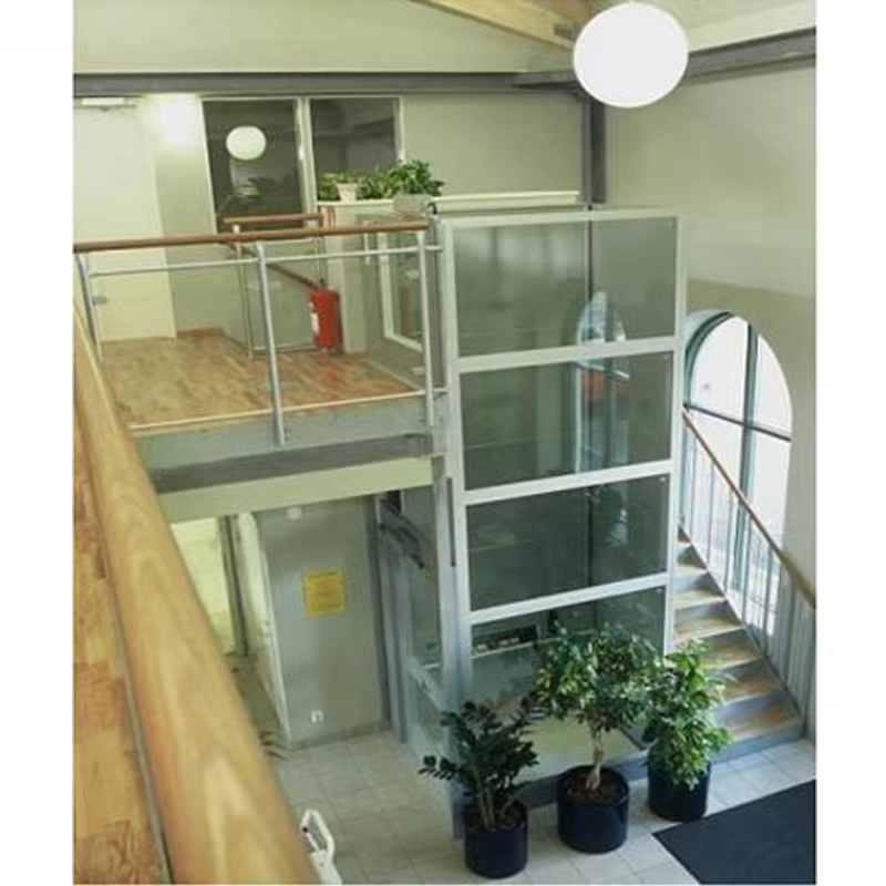 VTEV103 Ascensores Elevadores Smart Control Villa Lift para sa Komportableng Pagsasakay sa Bahay