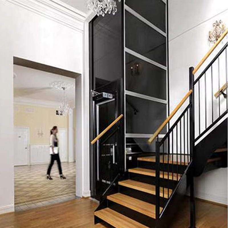 VTEV104 Ascensores Elevadores Luxury Stainless Steel Villa Elevator para sa Pampamilyang Paggamit