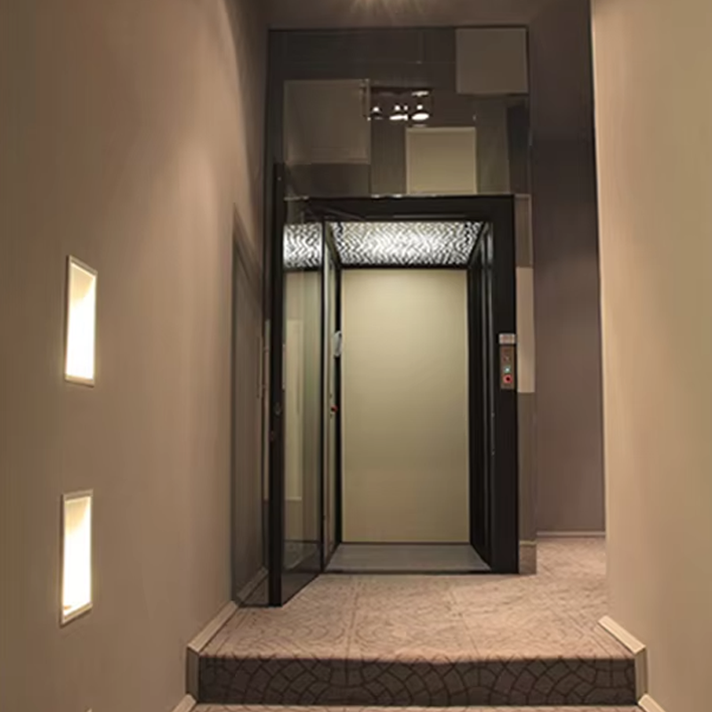 VTEV104 Ascensores Elevadores Luxury Stainless Steel Villa Elevator para sa Pampamilyang Paggamit