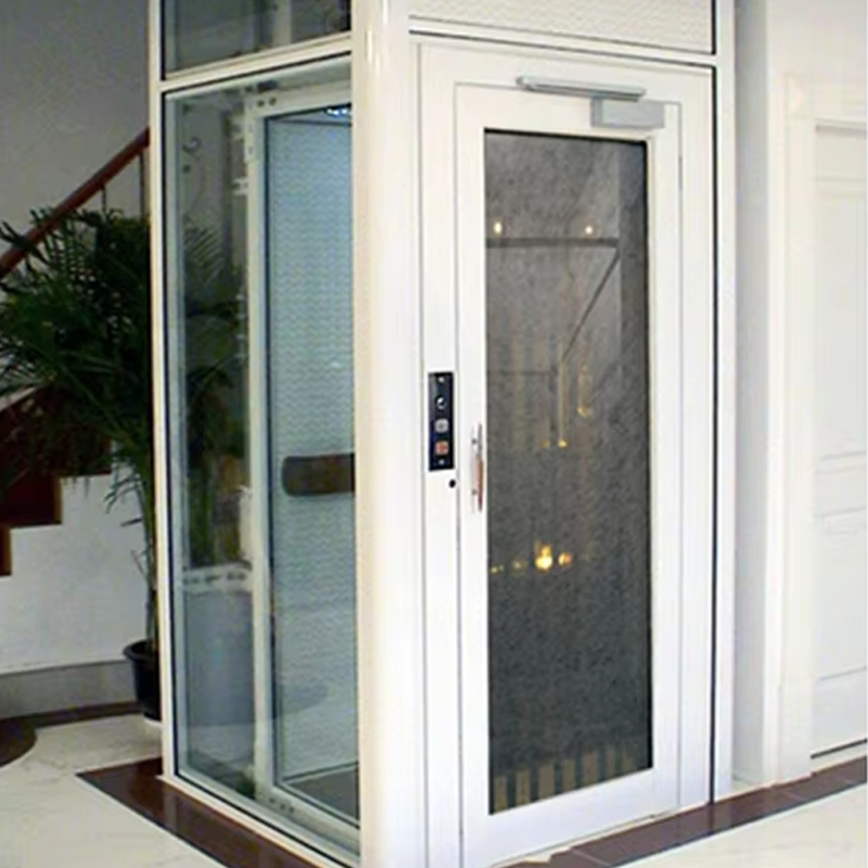 VTEV105 Ascensores Elevadores Customized Cabin Villa Elevator para sa Interior Dekorasyon
