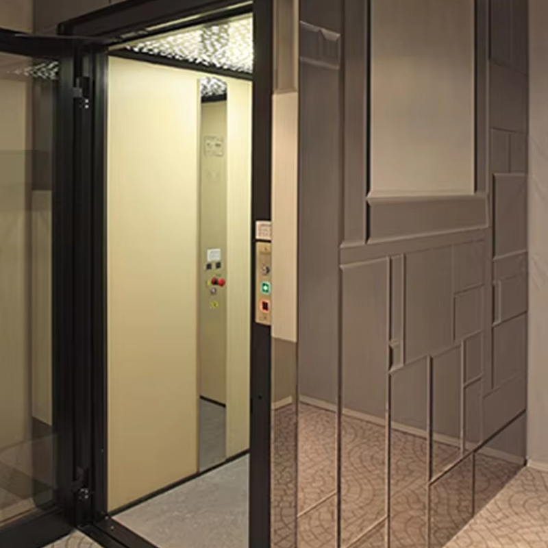 VTEV105 Ascensores Elevadores Customized Cabin Villa Elevator para sa Interior Dekorasyon