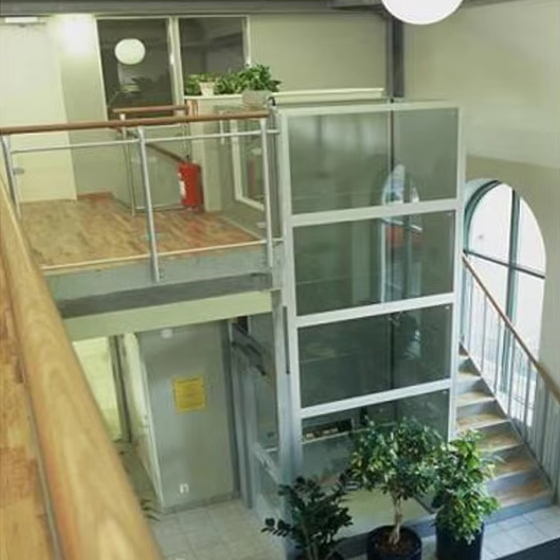 VTEV105 Ascensores Elevadores Customized Cabin Villa Elevator para sa Interior Dekorasyon