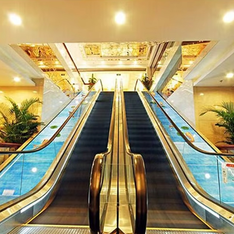 VS103 Murang Automatic Outdoor Indoor Handrail B At Presyo ng Mga Escalator