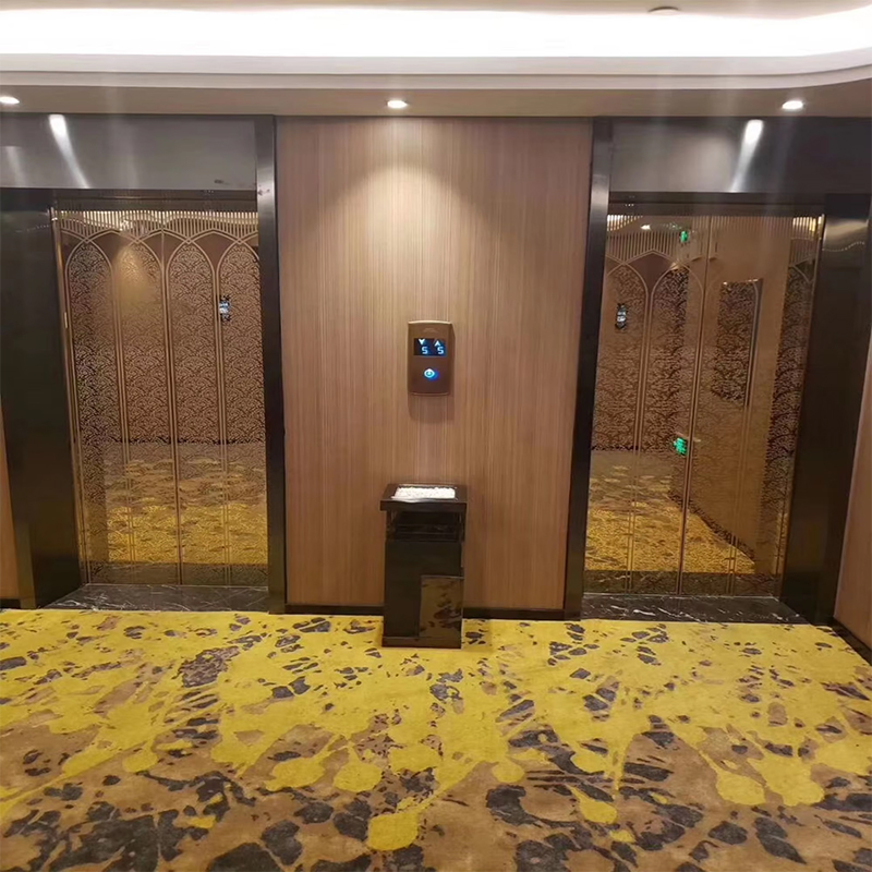 VTEP118 Elevadores Advanced Passenger Elevator Gearless AC PVC Stainless Steel Construction ISO90001 Certified Smart Features Improve