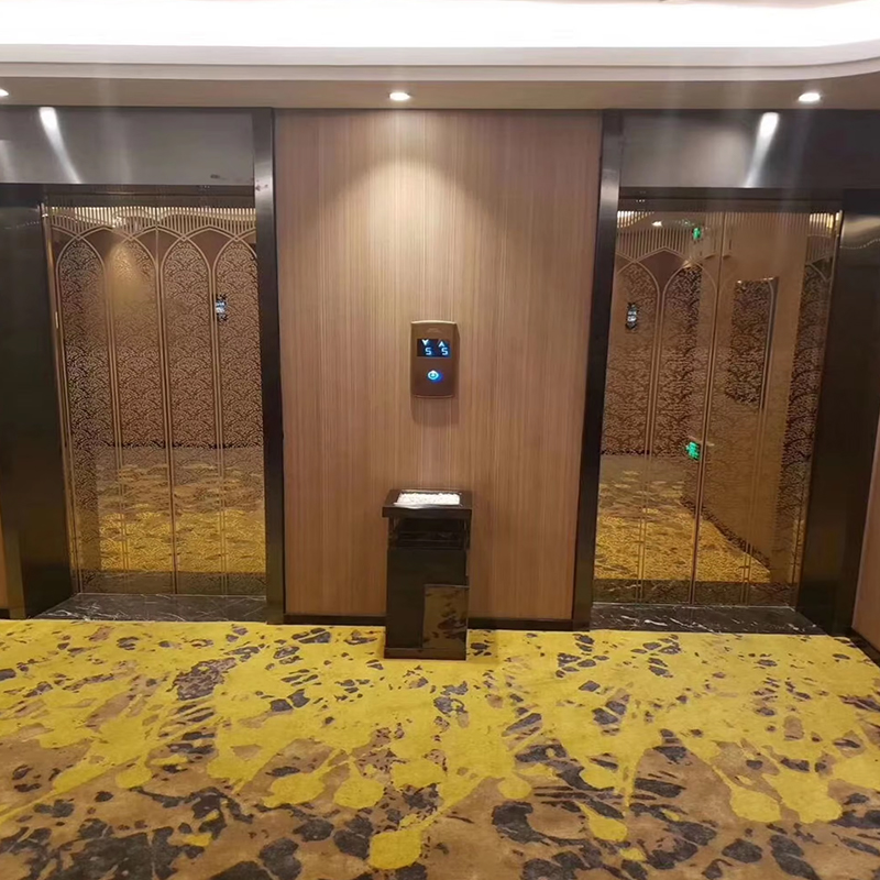 VTEP122 Elevadores Advanced at Space-Saving Passenger Elevator para sa Matataas na Gusali