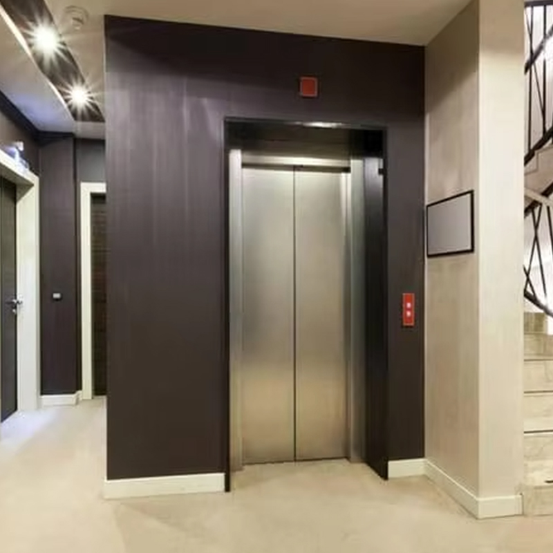 VTEP123 Luxury Customized Gearless AC Drive Residential Passenger Elevator na may Panoramic na Disenyo