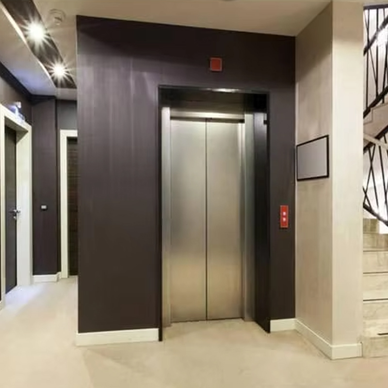 VTEP124 China Brand Modern Passenger Elevator Manufacturer High Performance Lift Hotel Gumamit ng PVC Floor Stainless Steel AC Drive