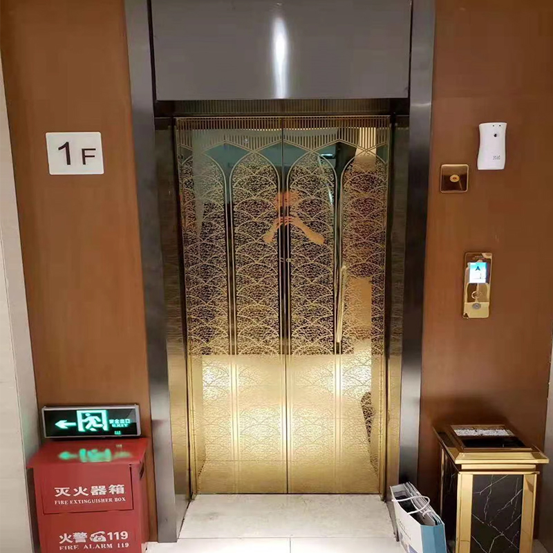 VTEP124 China Brand Modern Passenger Elevator Manufacturer High Performance Lift Hotel Gumamit ng PVC Floor Stainless Steel AC Drive