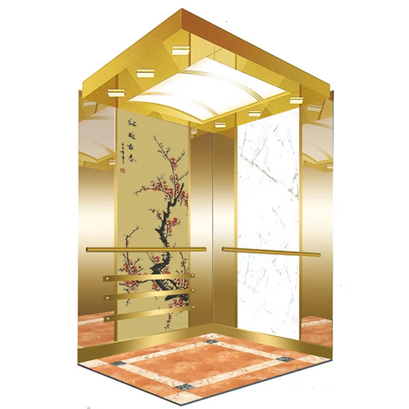 VTEO105 Ascensores High-Speed ​​Observation Elevator na may Smooth at Tahimik na Operasyon