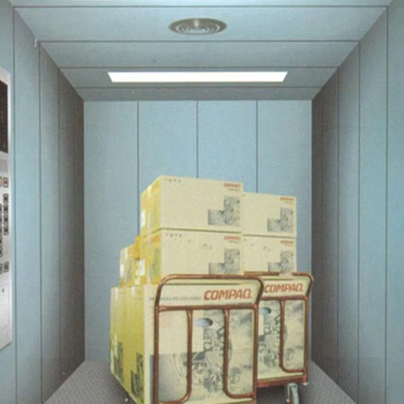 VTEF102 Ascensores High-Performance Cargo Elevator para sa Logistics at Storage