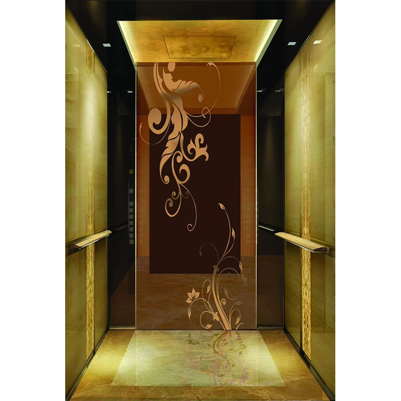 VTSP133 Luxury Hotel Elevator Cabin na may Premium Stainless Steel Contemporary Design Customized Color 1 Year Warranty