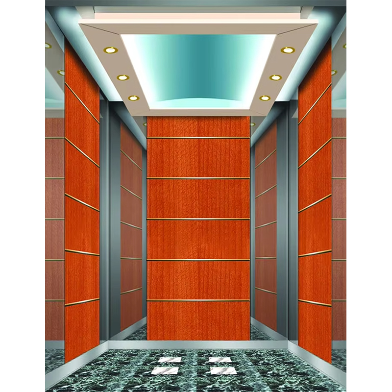VTSP133 Luxury Hotel Elevator Cabin na may Premium Stainless Steel Contemporary Design Customized Color 1 Year Warranty