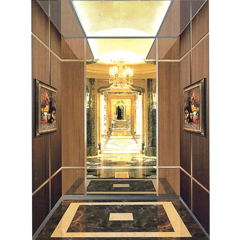 VTSP127 Elevator Parts & Accessories Durable Stainless Steel Lift Cabin na may Skirting at Handrail