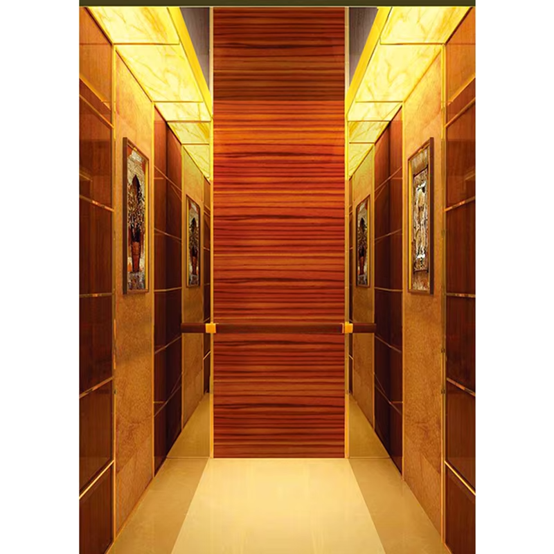 VTSP127 Elevator Parts & Accessories Durable Stainless Steel Lift Cabin na may Skirting at Handrail