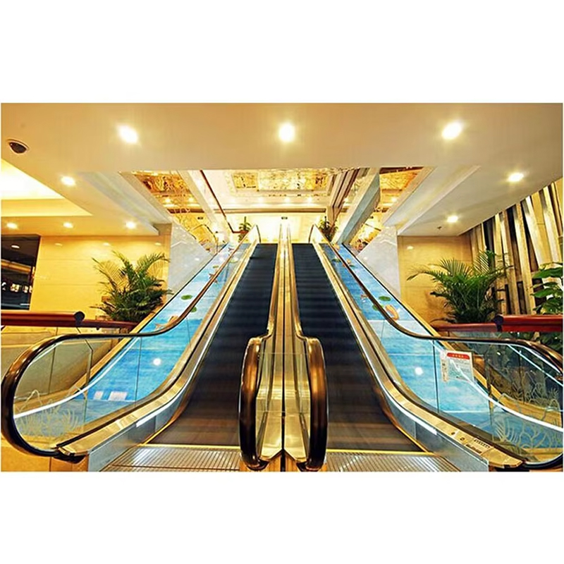 VTES106 Magandang Kalidad Competitive Passenger Escalator Presyo ng Outdoor Escalator
